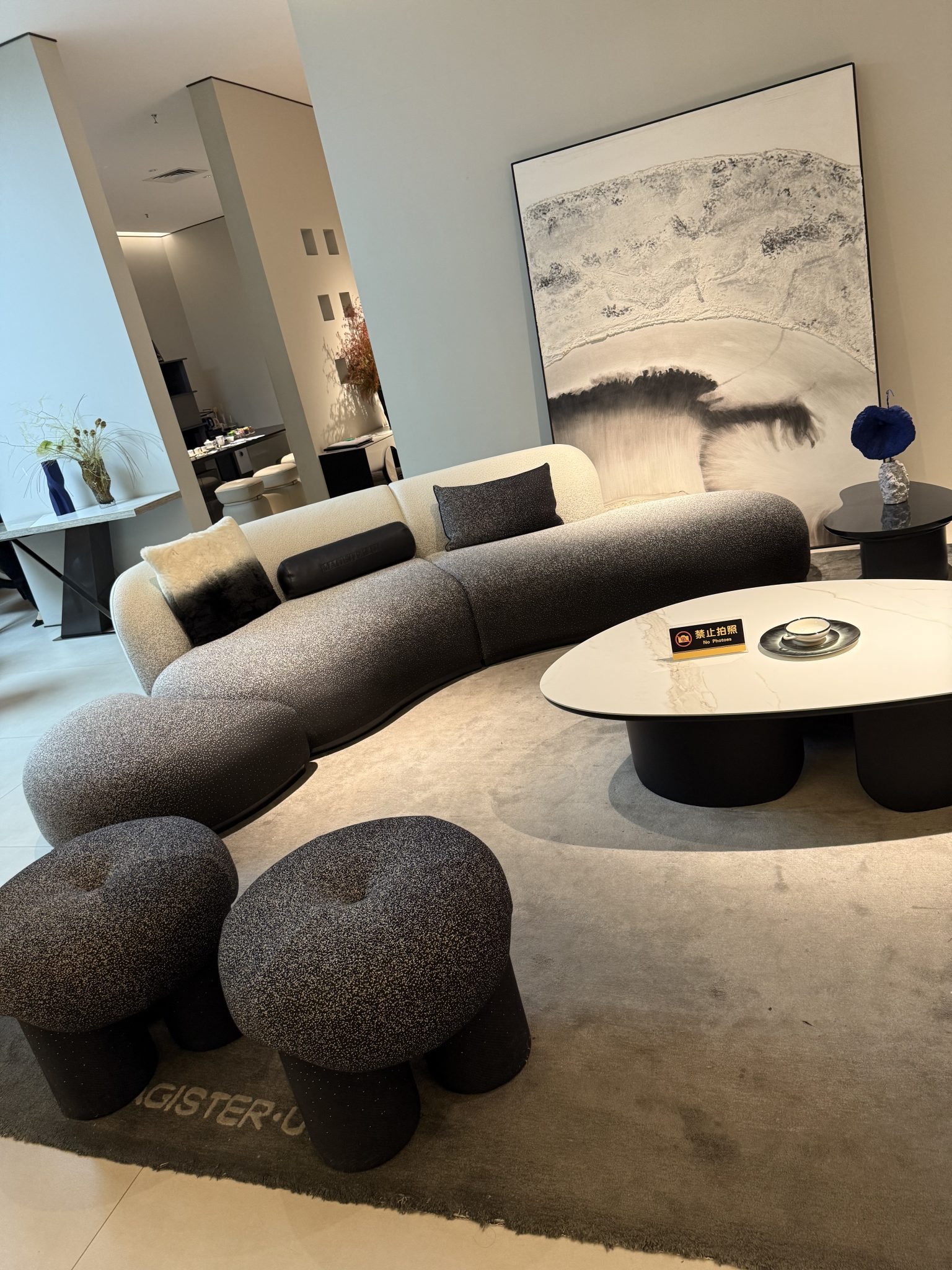 Ombre Designer Couch